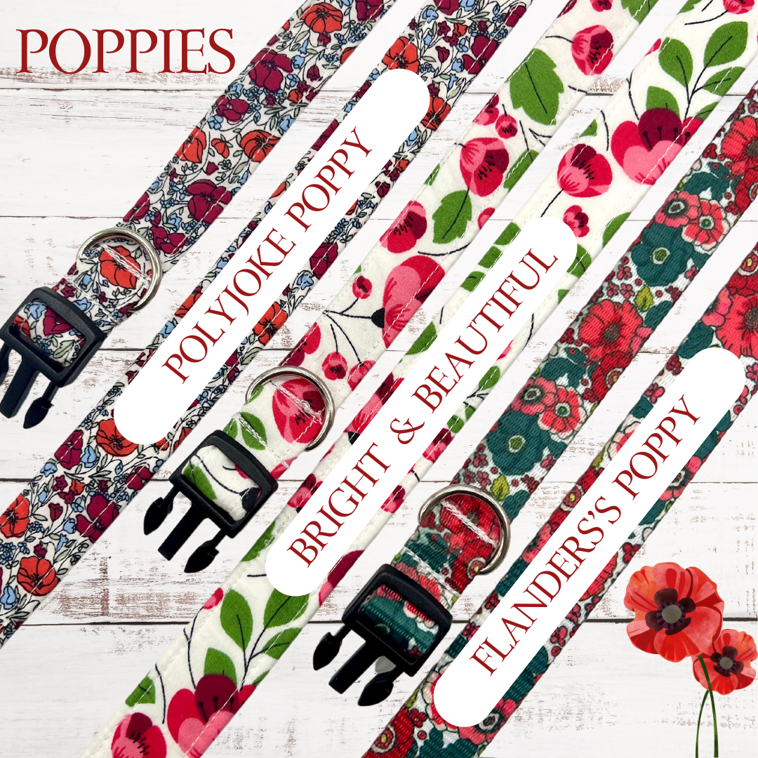 Bright and beautiful poppy print Dog Collar wholesale