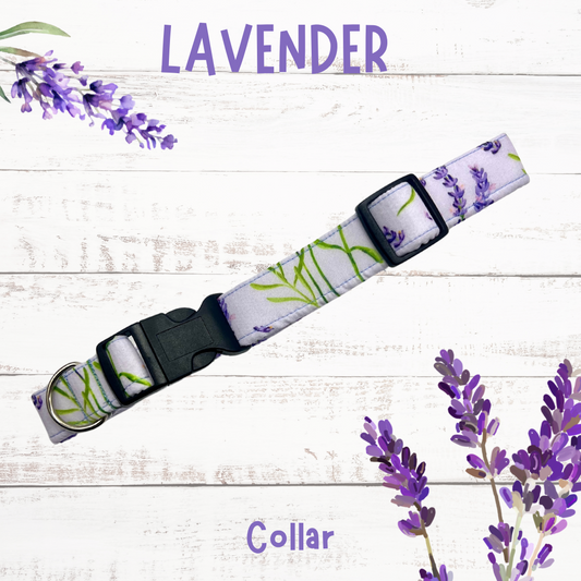 Lavender dog collar