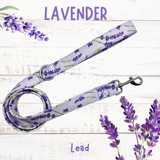 Lavender dog lead