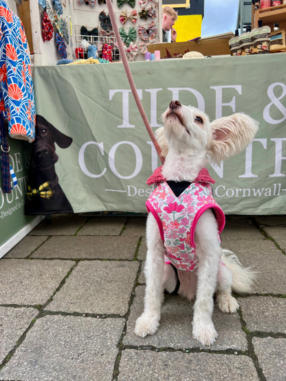 Blossom Waterproof Dog Coat