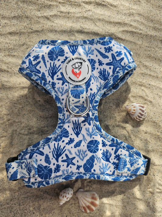 Sea shells dog harness