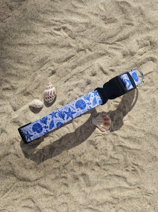 Sea shell dog collar