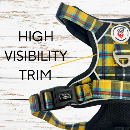 Close up of high visibility trim on tough tartan dog harness