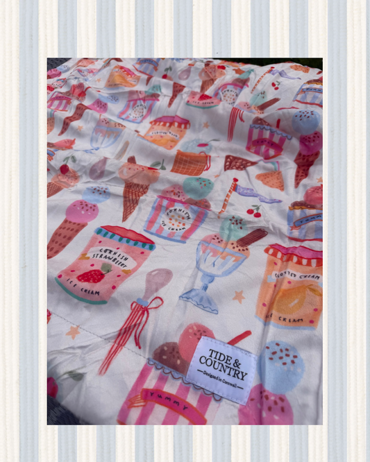 Sweet scoop Dog blanket