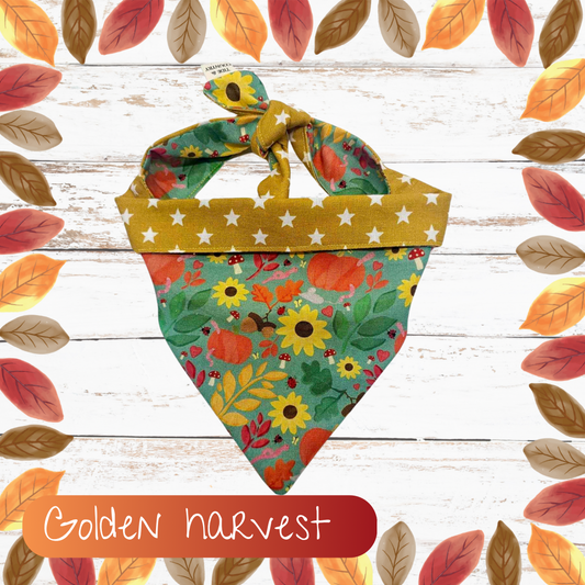 Golden harvest dog bandana