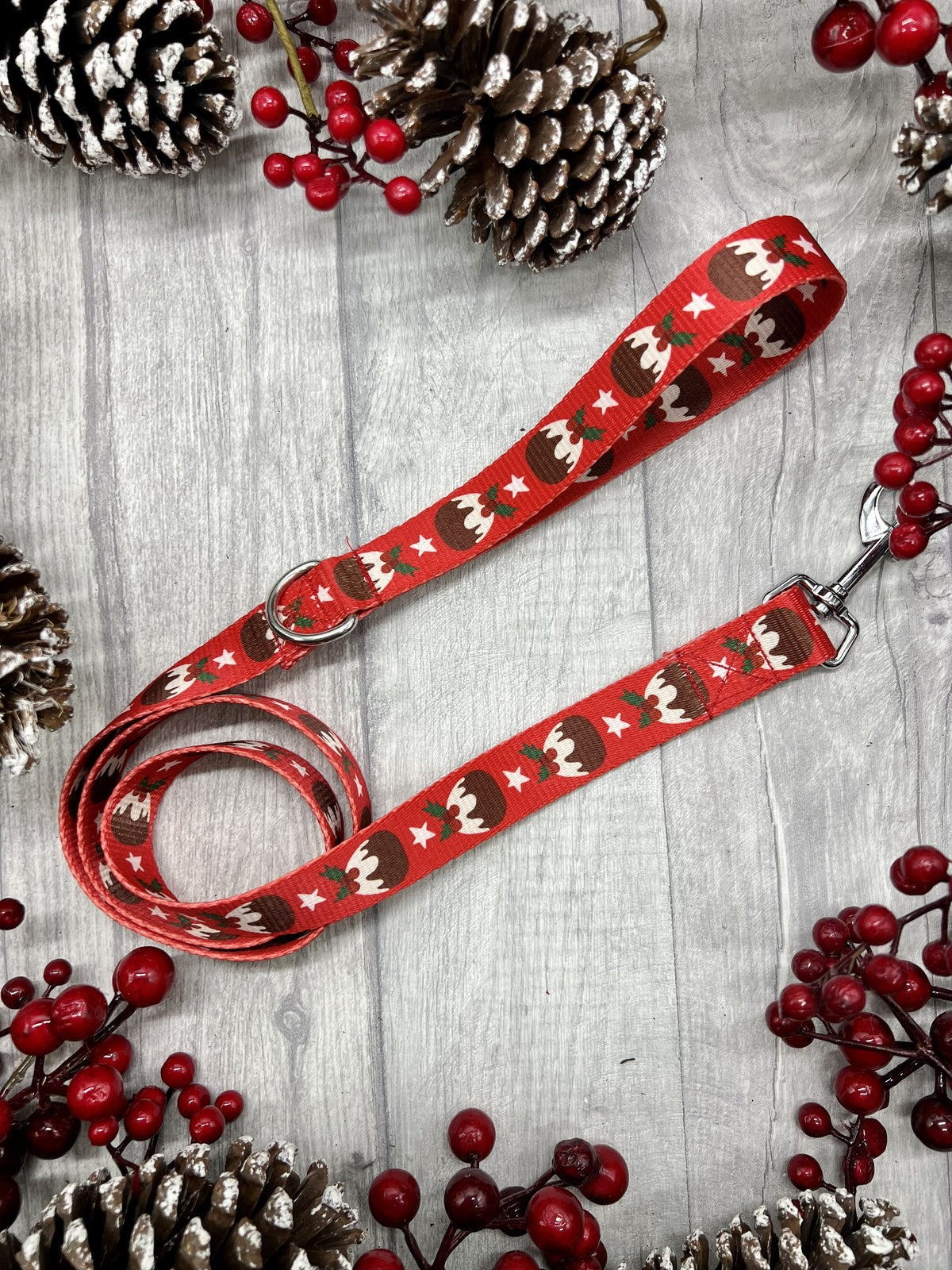 Paws Off My Pudding! Dog Walkies Set (Harness, Collar & Lead)
