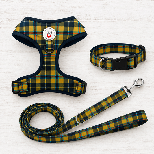 Cornish Tartan Dog Walkies Set (Harness, Collar & Lead)