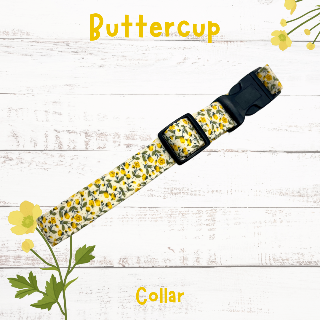 Buttercup dog collar