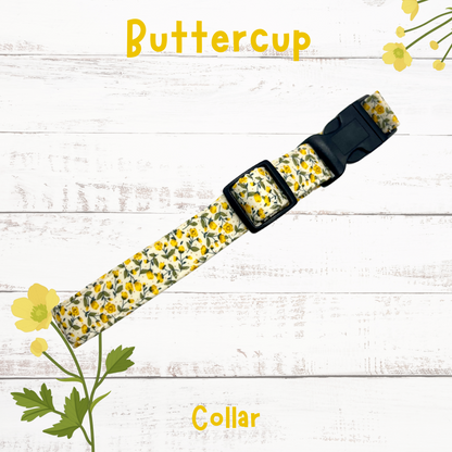 Buttercup dog collar