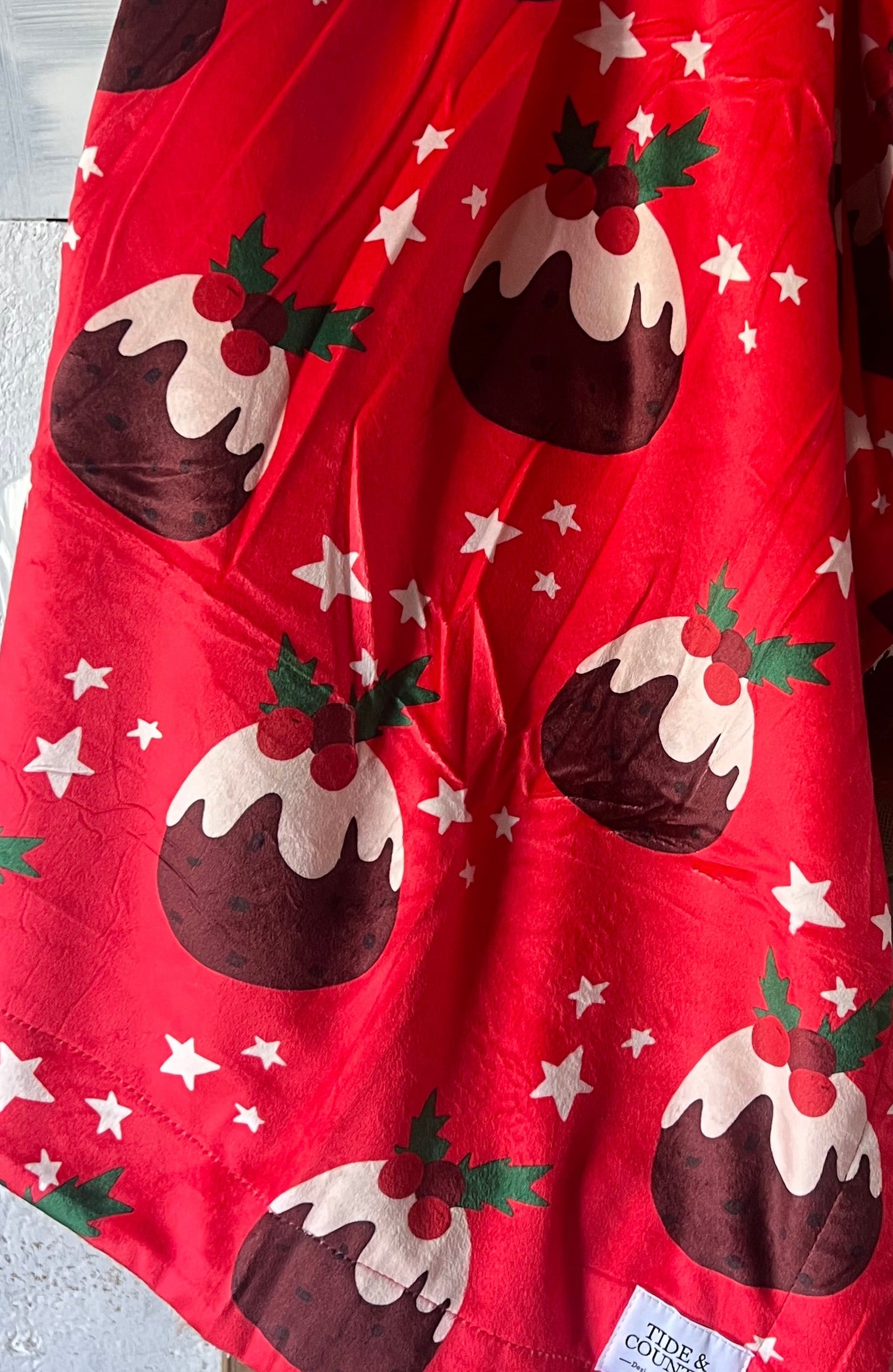 Paws off my puddin Dog blanket