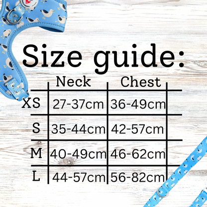 Gulls Just Wanna Have Fun Dog Harness
