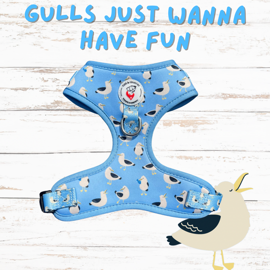 Gulls just wanna have fun dog harness