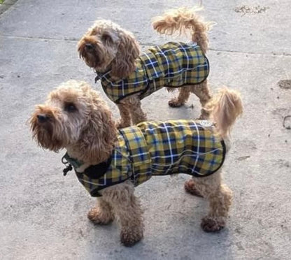 Cornish Tartan Waterproof Dog Coat