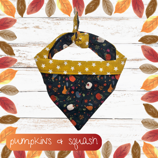 Pumpkins & squash dog bandana