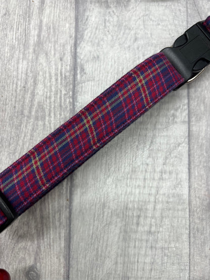 Hamish tartan dog collar