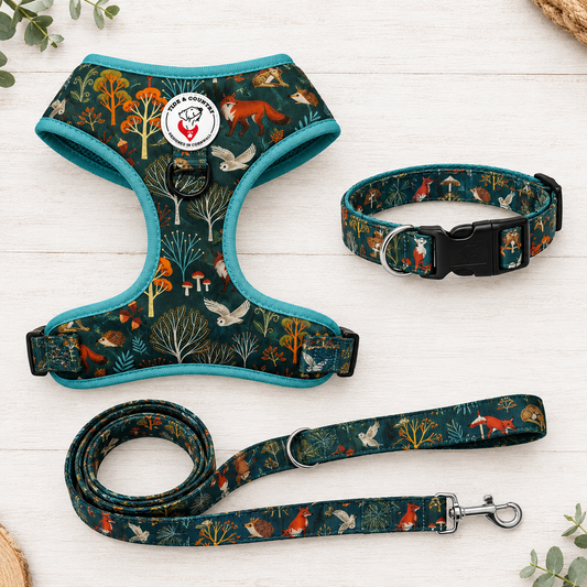 Forest & Fern Dog Walkies Set (Harness, Collar & Lead)
