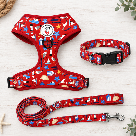 Good Buoy Dog Walkies Set (Harness, Collar & Lead)