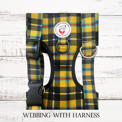 Cornish Tartan Dog Walkies Set (Harness, Collar & Lead)