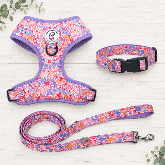 Lola Belle Dog Walkies Set (Harness, Collar & Lead)