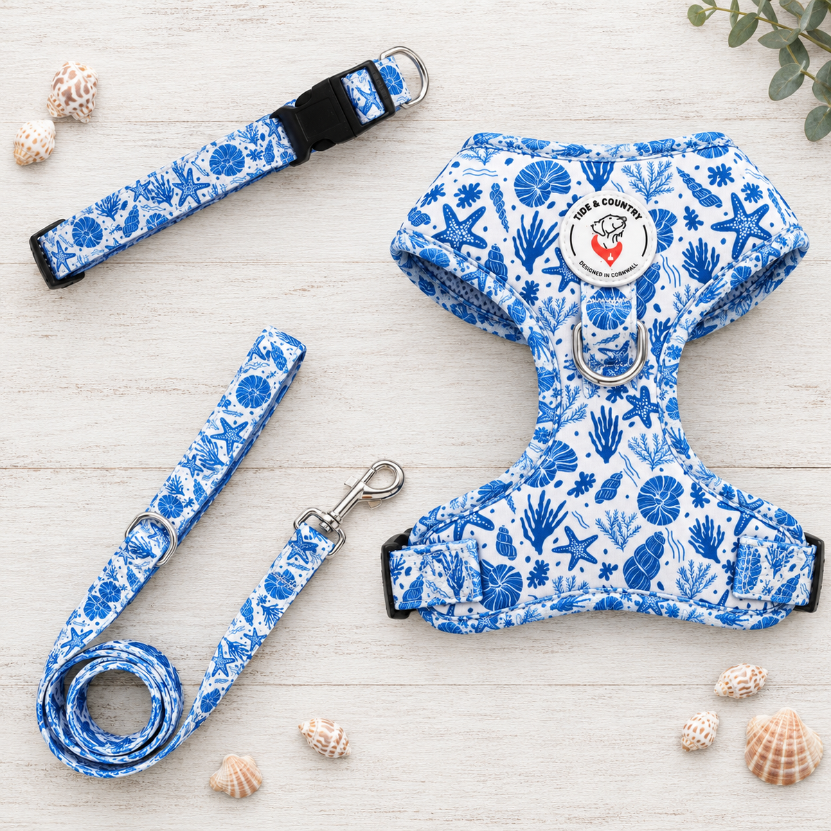 Sea Shell Dog Walkies Set (Harness, Collar & Lead)