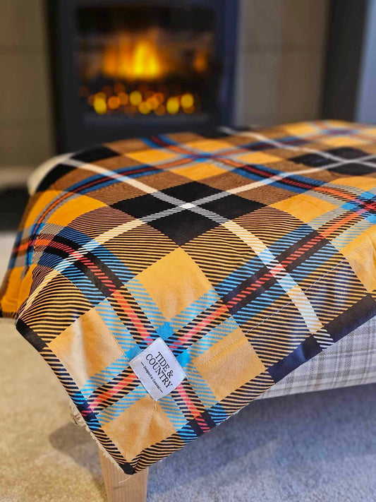 Cornish Tartan Dog Blanket laid in front of fireplace