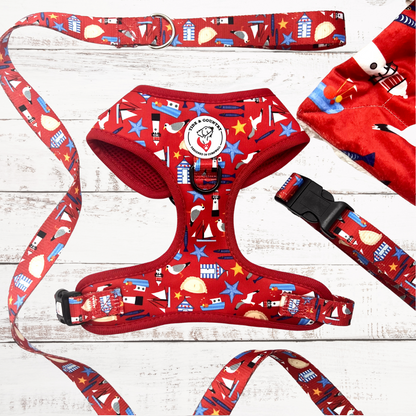 Good Buoy Dog Walkies Set (Harness, Collar & Lead)
