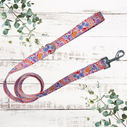 Lola Belle Dog Walkies Set (Harness, Collar & Lead)