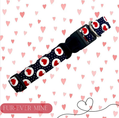 Fur-ever mine dog collar