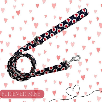 Fur-ever mine dog lead