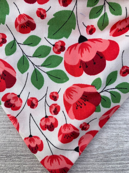 Bright and beautiful poppy reversible dog bandana