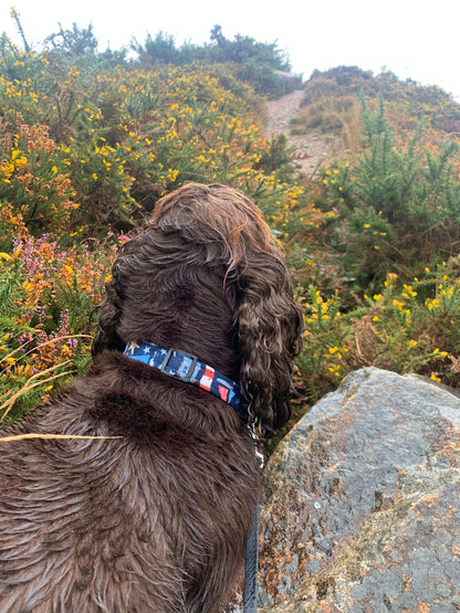 Nautical navy dog collar