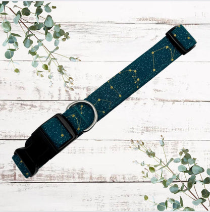 Stargazer adjustable dog collar
