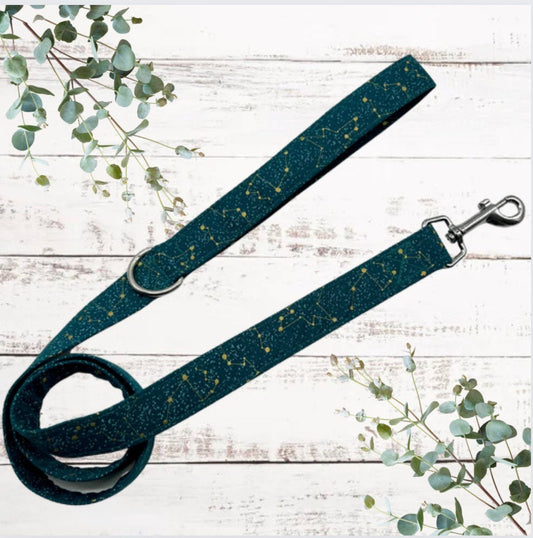 Stargazer  dog lead with d ring