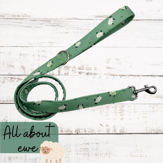 All about ewe dog lead