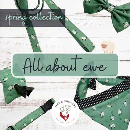 All about ewe dog lead